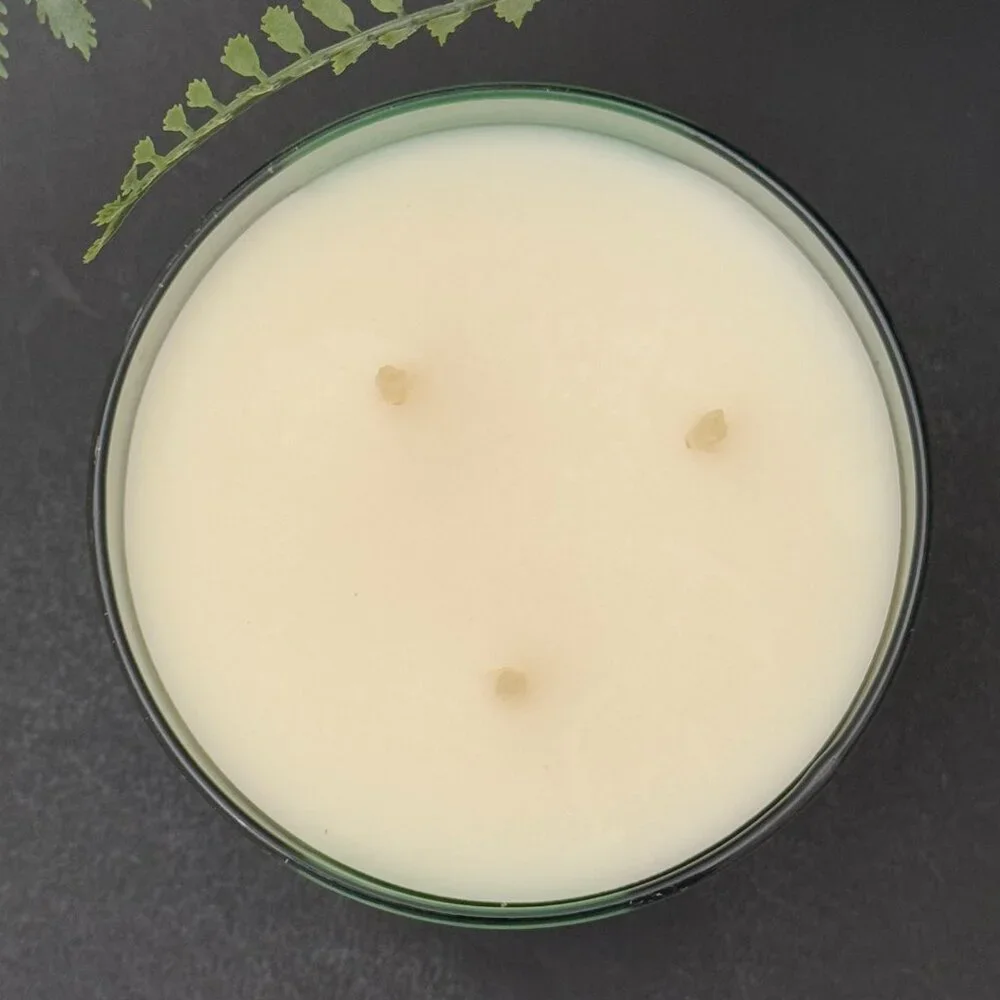 BBW Island Margarita  White Barn Bath & Body Works 3 Wick Candle - Picture 7 of 10
